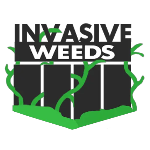 InvasiveWeedsNoBG